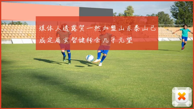 媒体人透露贺一然加盟山东泰山已成定局玄智健转会几乎无望