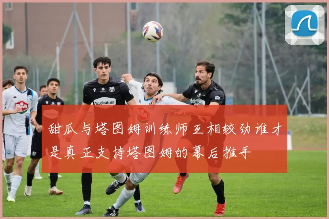 甜瓜与塔图姆训练师互相较劲谁才是真正支持塔图姆的幕后推手