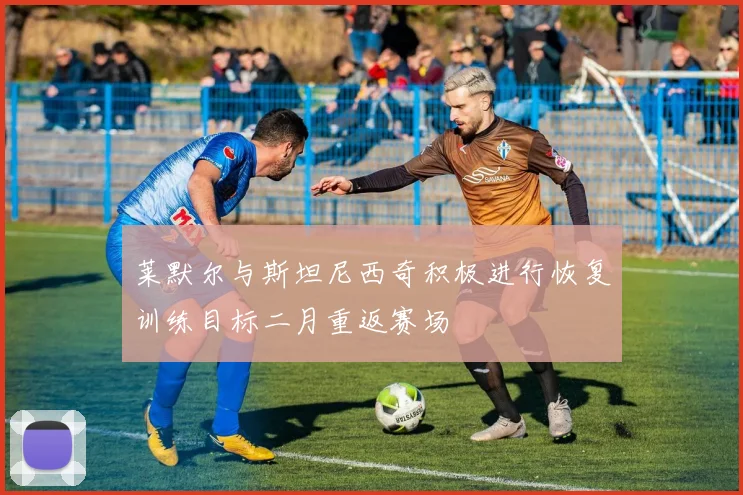 莱默尔与斯坦尼西奇积极进行恢复训练目标二月重返赛场