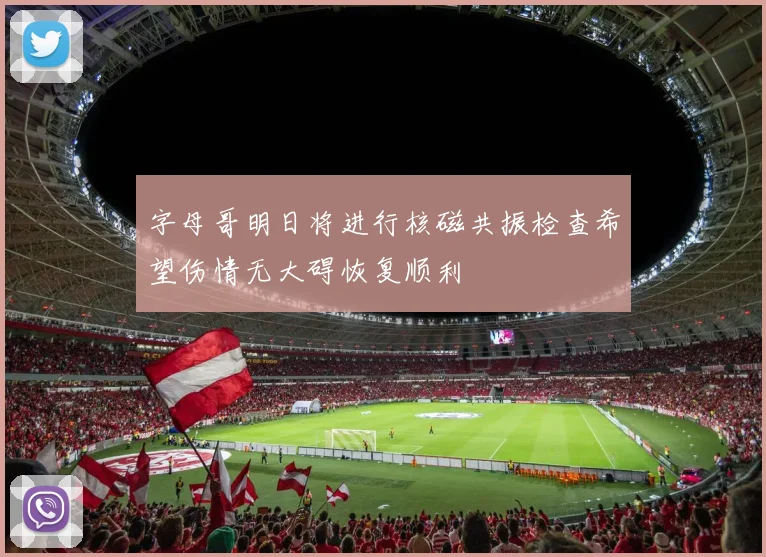 字母哥明日将进行核磁共振检查希望伤情无大碍恢复顺利
